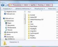Where is the appdata folder in Windows 7